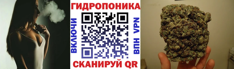 Купить закладку КОКАИН  ЭКСТАЗИ  АМФ  Меф мяу мяу  ГАШ  A PVP  Полярные Зори