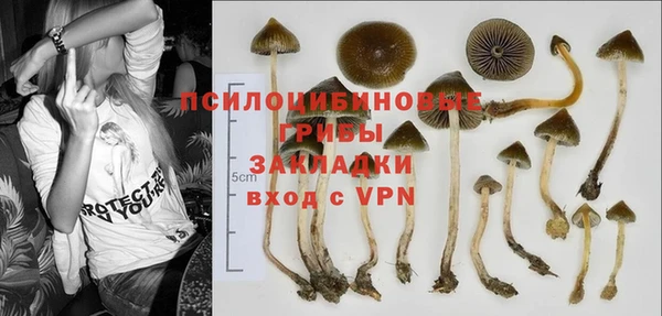 прущая мука Касимов
